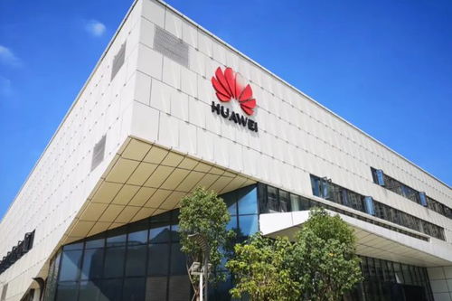 谷歌做出讓步,鴻蒙 突圍 局面已成